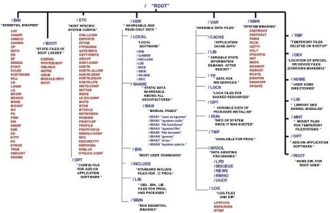 estructura-sistema-archivos-2