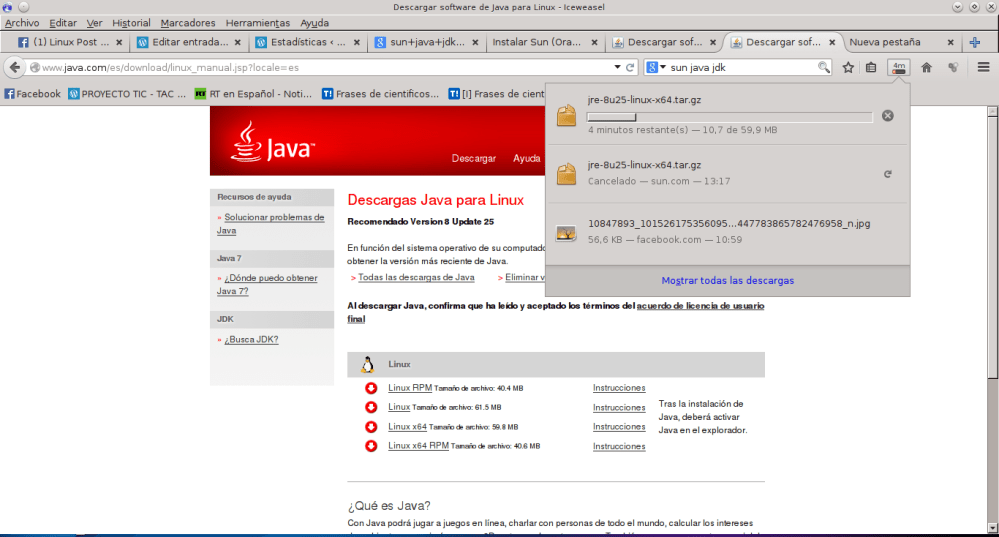 Descargar software de Java para Linux - Iceweasel_041