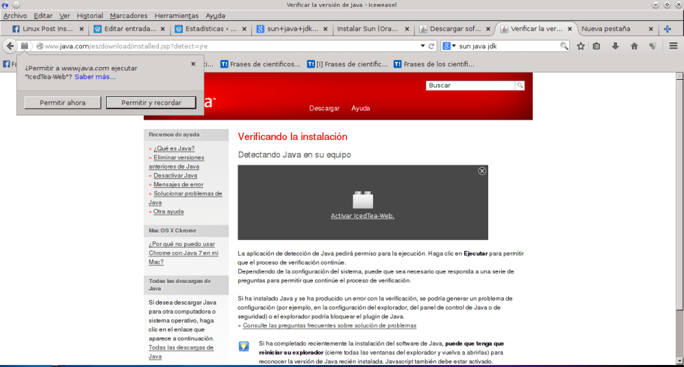 Verificar la versión de Java - Iceweasel_035