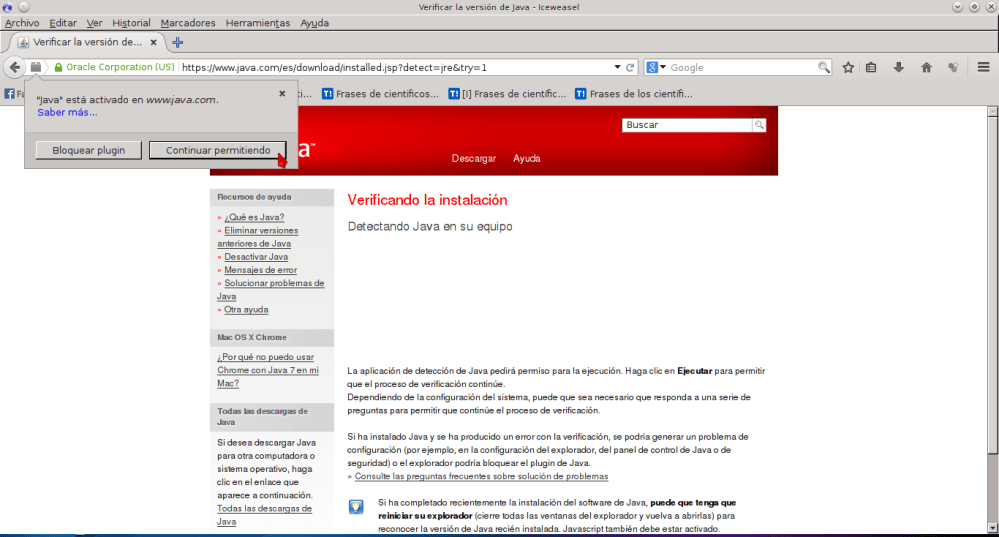 Verificar la versión de Java - Iceweasel_060